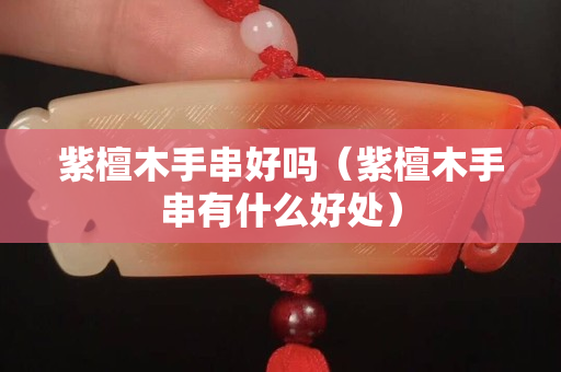 紫檀木手串好吗（紫檀木手串有什么好处）