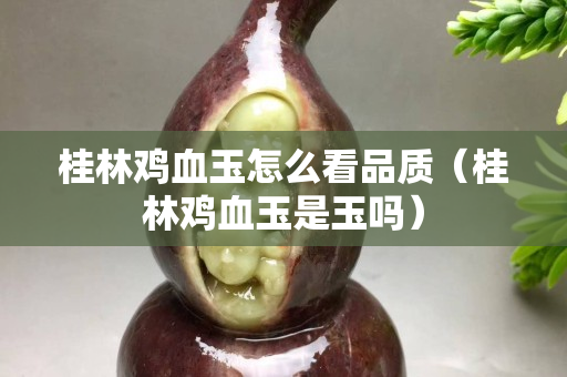 桂林鸡血玉怎么看品质（桂林鸡血玉是玉吗）