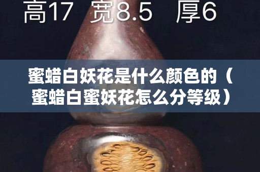 蜜蜡白妖花是什么颜色的（蜜蜡白蜜妖花怎么分等级）
