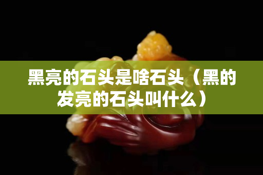 黑亮的石头是啥石头（黑的发亮的石头叫什么）