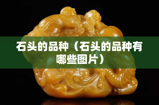 石头的品种（石头的品种有哪些图片）