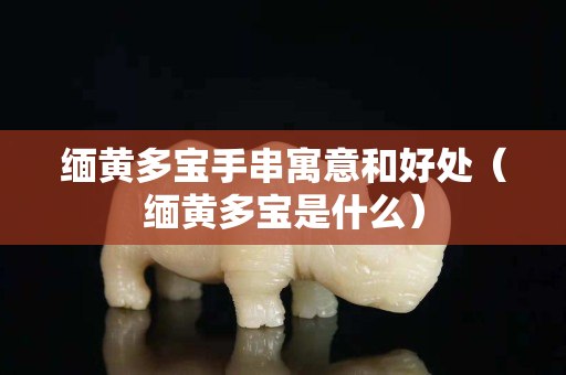 缅黄多宝手串寓意和好处（缅黄多宝是什么）