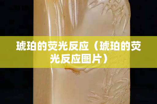 琥珀的荧光反应（琥珀的荧光反应图片）