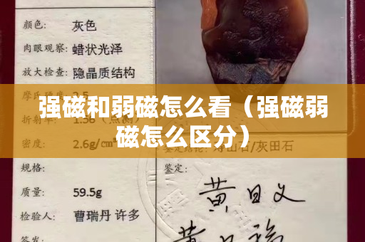强磁和弱磁怎么看（强磁弱磁怎么区分）