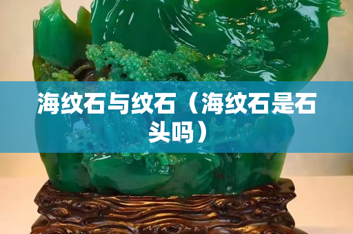 海纹石与纹石（海纹石是石头吗）