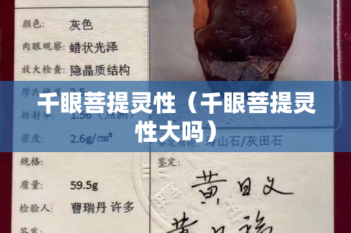 千眼菩提灵性（千眼菩提灵性大吗）