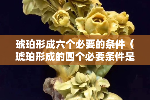 琥珀形成六个必要的条件（琥珀形成的四个必要条件是什么）