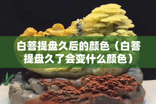 白菩提盘久后的颜色（白菩提盘久了会变什么颜色）