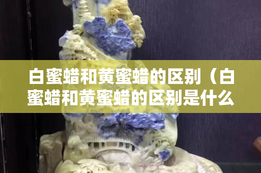 白蜜蜡和黄蜜蜡的区别（白蜜蜡和黄蜜蜡的区别是什么）