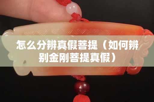 怎么分辨真假菩提（如何辨别金刚菩提真假）