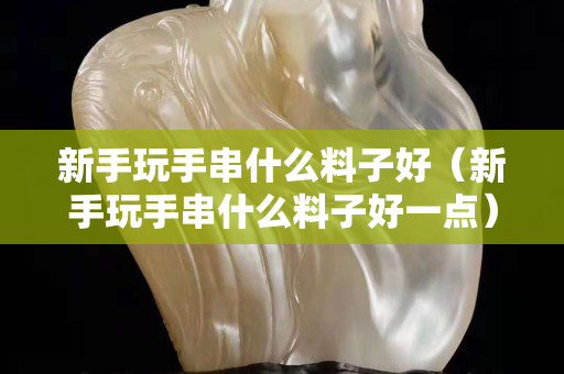 新手玩手串什么料子好（新手玩手串什么料子好一点）