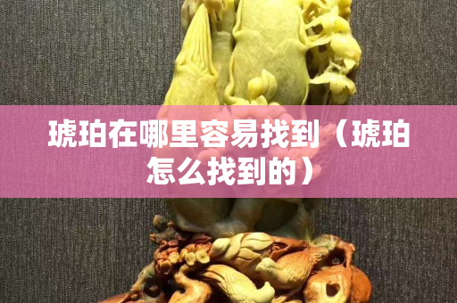 琥珀在哪里容易找到（琥珀怎么找到的）