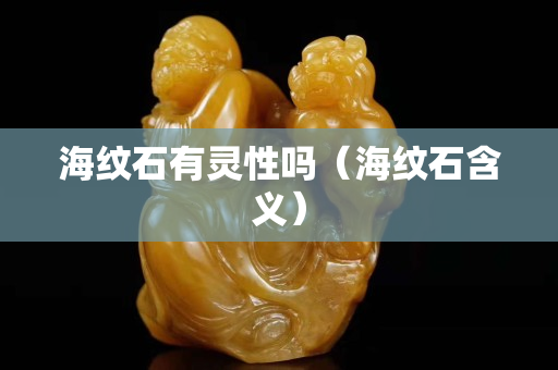 海纹石有灵性吗（海纹石含义）