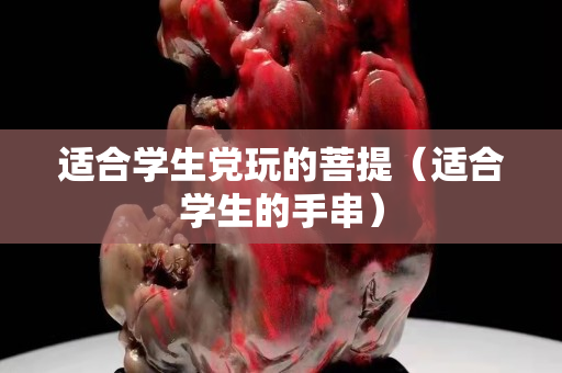 适合学生党玩的菩提（适合学生的手串）