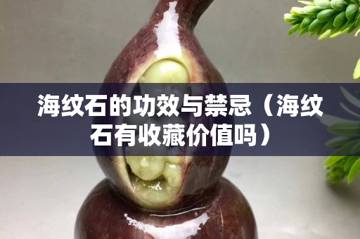 海纹石的功效与禁忌（海纹石有收藏价值吗）