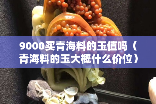 9000买青海料的玉值吗（青海料的玉大概什么价位）