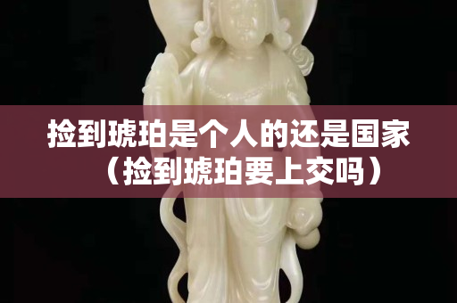 捡到琥珀是个人的还是国家（捡到琥珀要上交吗）