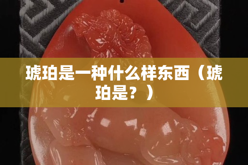 琥珀是一种什么样东西（琥珀是？）