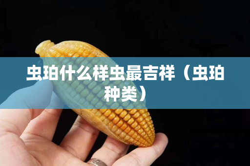 虫珀什么样虫最吉祥（虫珀种类）