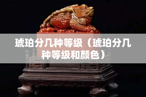 琥珀分几种等级（琥珀分几种等级和颜色）