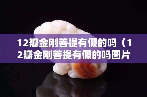 12瓣金刚菩提有假的吗（12瓣金刚菩提有假的吗图片）