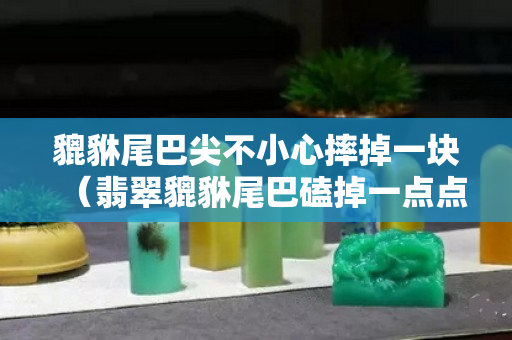 貔貅尾巴尖不小心摔掉一块（翡翠貔貅尾巴磕掉一点点）