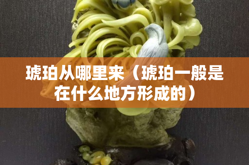 琥珀从哪里来（琥珀一般是在什么地方形成的）