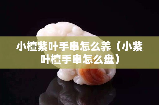 小檀紫叶手串怎么养（小紫叶檀手串怎么盘）