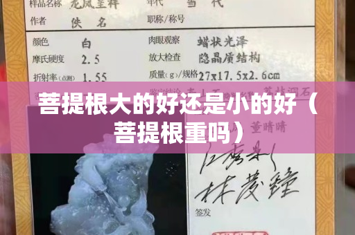 菩提根大的好还是小的好（菩提根重吗）