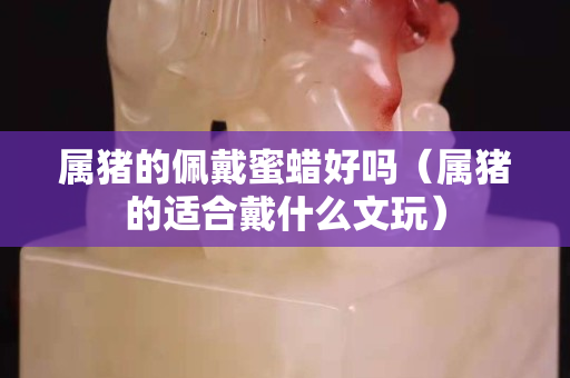 属猪的佩戴蜜蜡好吗（属猪的适合戴什么文玩）