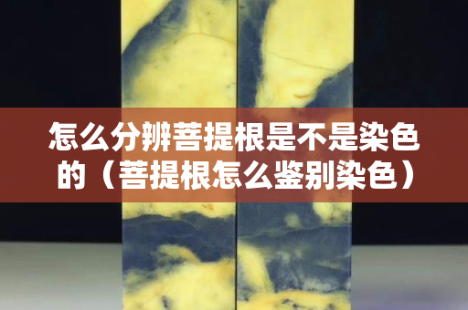 怎么分辨菩提根是不是染色的（菩提根怎么鉴别染色）