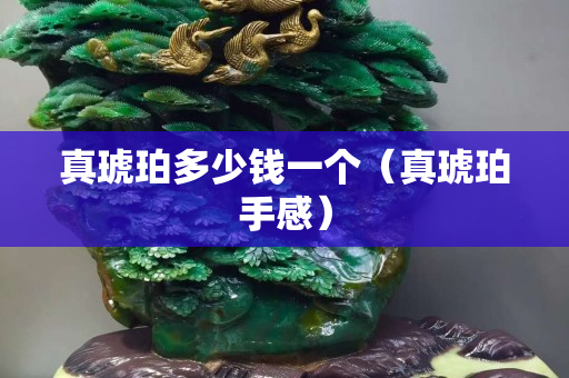 真琥珀多少钱一个（真琥珀手感）