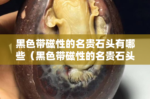 黑色带磁性的名贵石头有哪些（黑色带磁性的名贵石头有哪些品种）