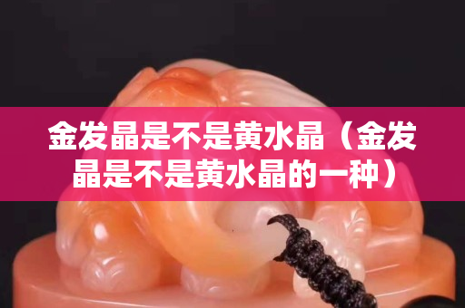 金发晶是不是黄水晶（金发晶是不是黄水晶的一种）