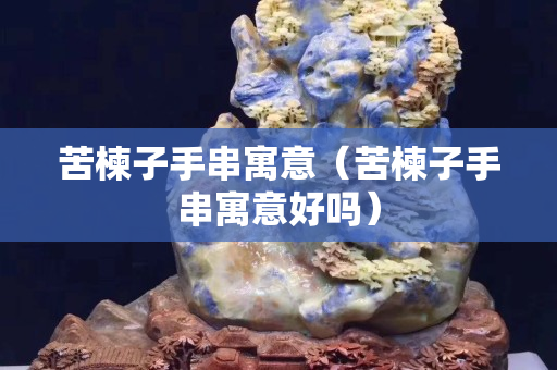 苦楝子手串寓意（苦楝子手串寓意好吗）