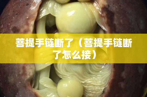菩提手链断了（菩提手链断了怎么接）