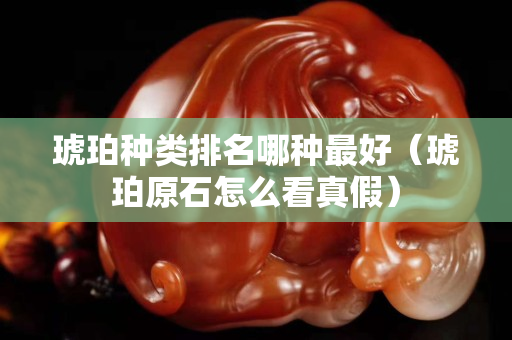 琥珀种类排名哪种最好（琥珀原石怎么看真假）