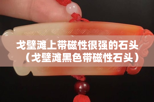 戈壁滩上带磁性很强的石头（戈壁滩黑色带磁性石头）
