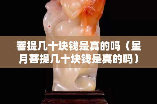 菩提几十块钱是真的吗（星月菩提几十块钱是真的吗）