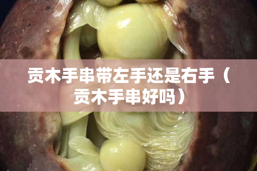 贡木手串带左手还是右手（贡木手串好吗）