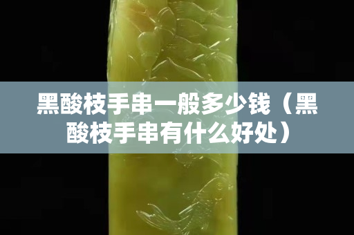 黑酸枝手串一般多少钱（黑酸枝手串有什么好处）