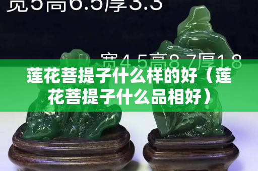 莲花菩提子什么样的好（莲花菩提子什么品相好）
