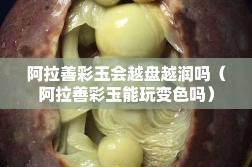 阿拉善彩玉会越盘越润吗（阿拉善彩玉能玩变色吗）