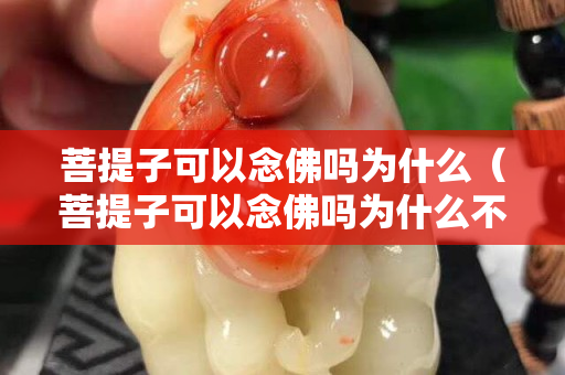 菩提子可以念佛吗为什么（菩提子可以念佛吗为什么不能念佛）