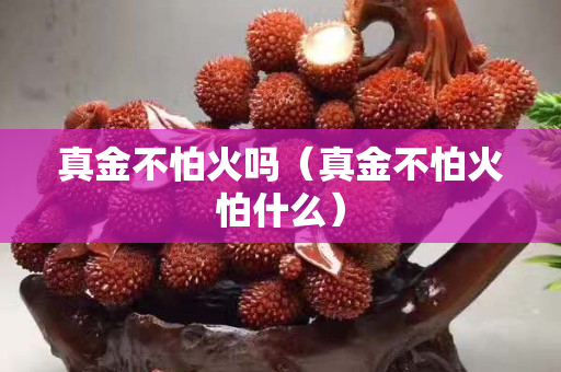 真金不怕火吗（真金不怕火怕什么）