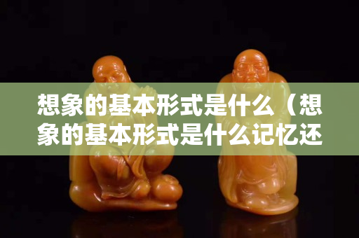 想象的基本形式是什么（想象的基本形式是什么记忆还是联想）