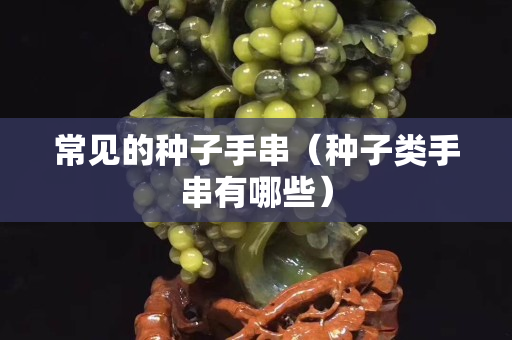 常见的种子手串（种子类手串有哪些）