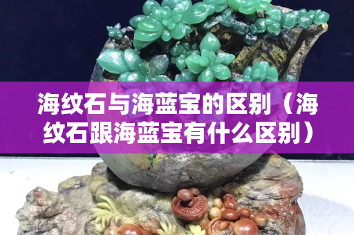 海纹石与海蓝宝的区别（海纹石跟海蓝宝有什么区别）