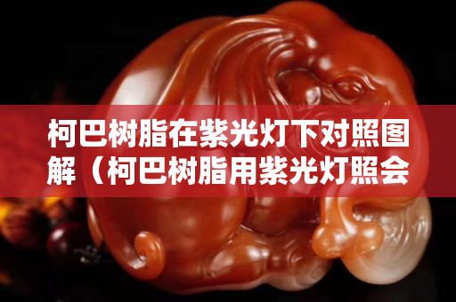 柯巴树脂在紫光灯下对照图解（柯巴树脂用紫光灯照会有荧光吗）