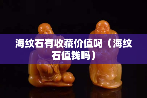 海纹石有收藏价值吗（海纹石值钱吗）